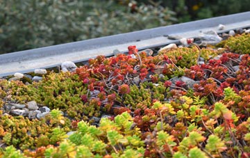 the cost of Fence Houses green roof installation