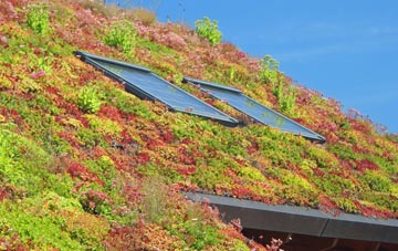 Fence Houses living roof systems