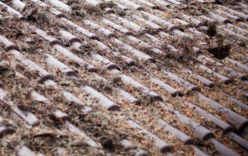 Fence Houses roof cleaning companies