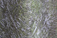 Fence Houses fibreglass roof work